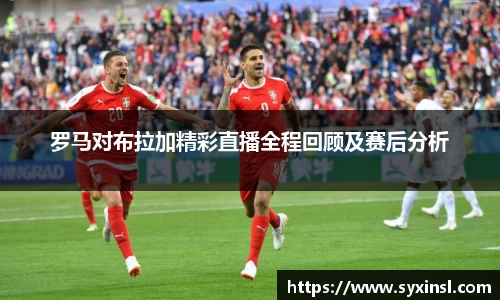 mk体育官网